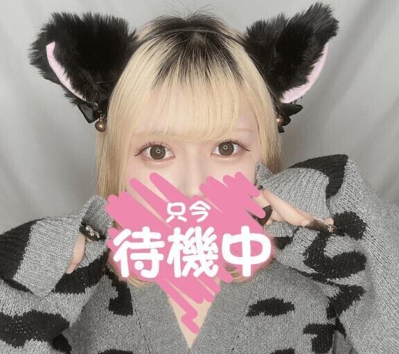 待機にゃんこฅ^•ω•^ฅ