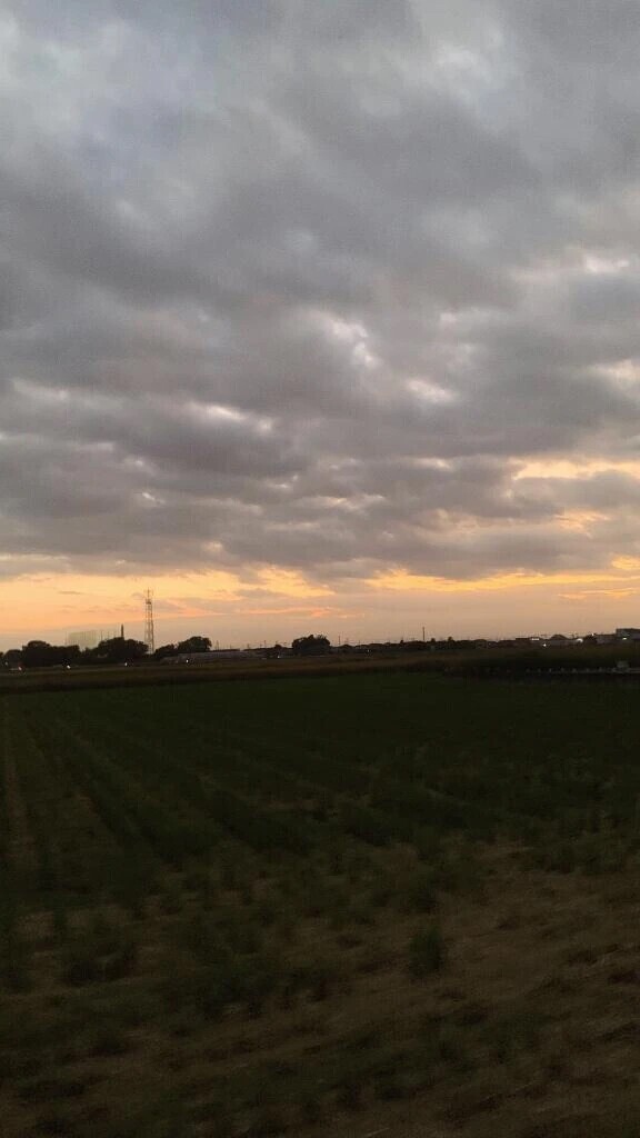 ご自宅H様𓆩❤︎𓆪