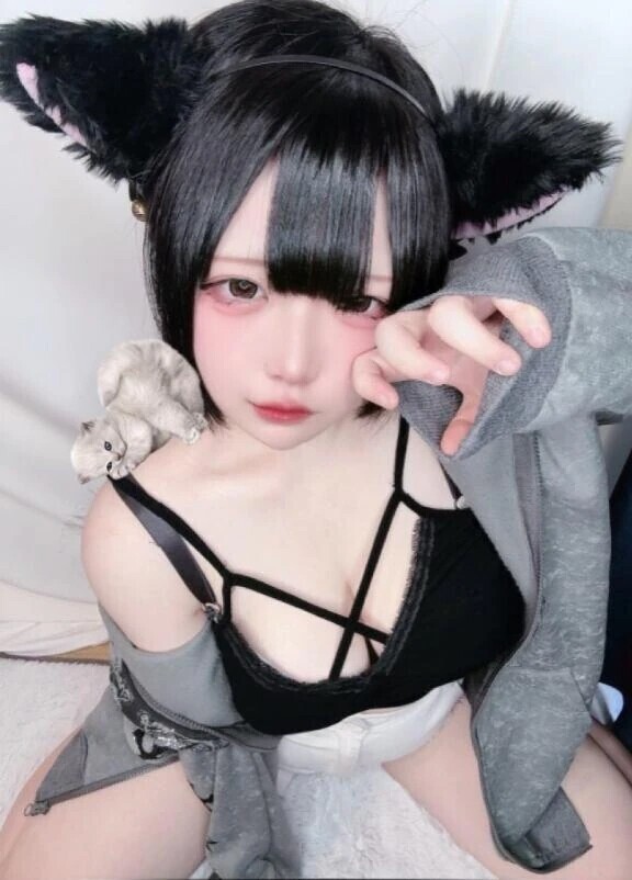 飼い主どこ？🐱