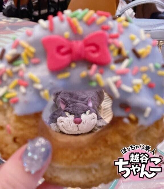 帰還しました_(ˆ. ̫ . ˆ_)