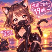 次回ご案内19時～