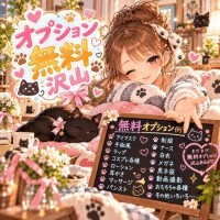 無料オプション沢山