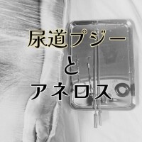 カテーテルでお○っこプシャー