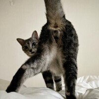 セッション前に