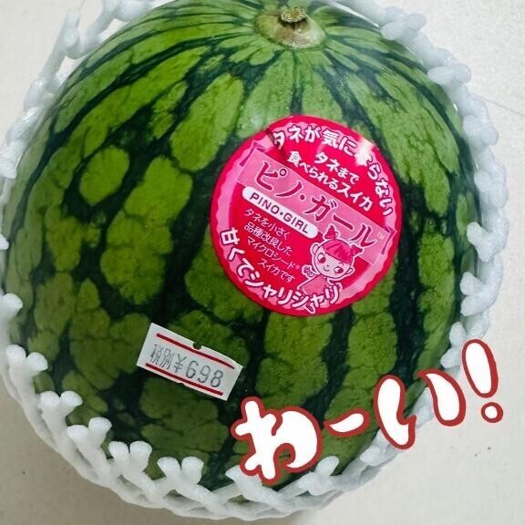 舐め犬?