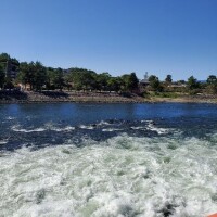 新年明けましておめでとうございます！！