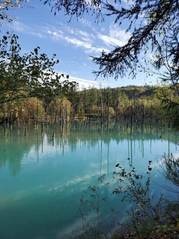 おやすみなさい?