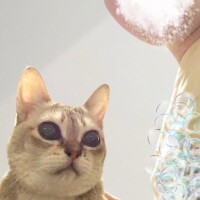 ２度目まして、ありがとう＾＾