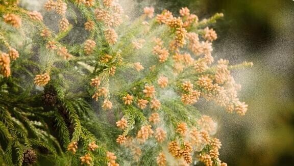 今日は薬を禁止＾＾