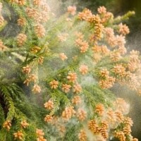 今日は薬を禁止＾＾