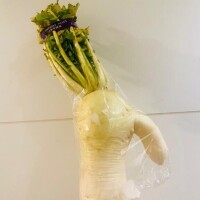 何に見えるかな??