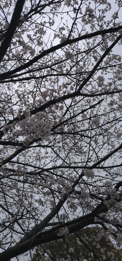 おひさし出勤♪