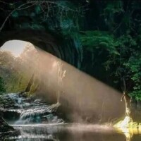 珍珍に見える人は正直に手をあげなさい。先生怒らないからぁ＾＾