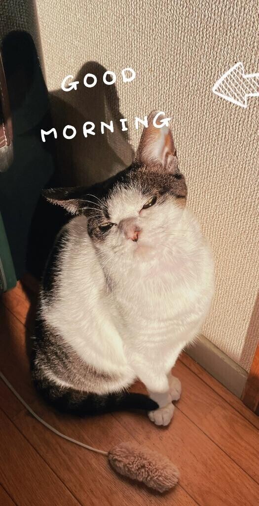 おはよ～