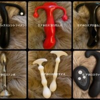 究極女王・花　こころ様
