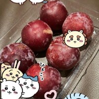 いつもありがとうなお兄さんへ?