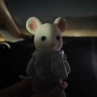 わあわあわあわ