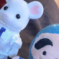 ありがとー！