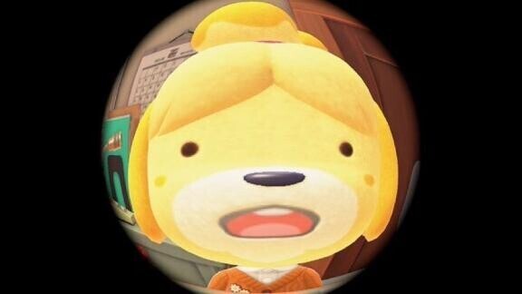 かんしゃだよー