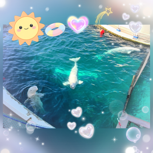7月♡