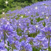 ミライ【マダムコース】