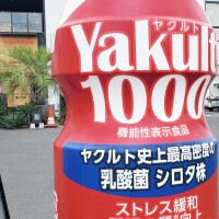 ヒカリ