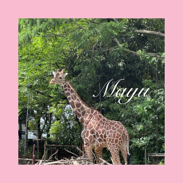 ▶︎▷明日10:30~
