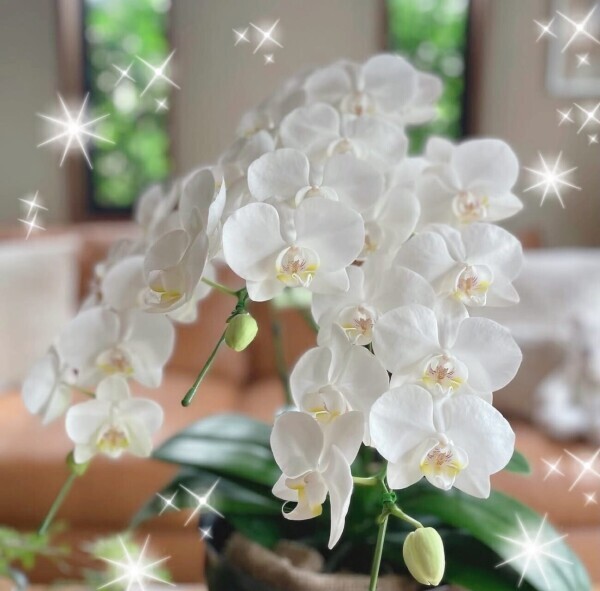 ♡ありがとう♡