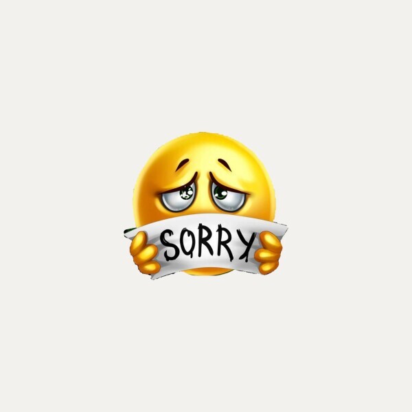 ごめんなさい(｡>_<｡)