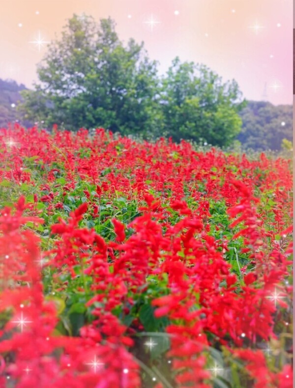 ♡明日出勤♡