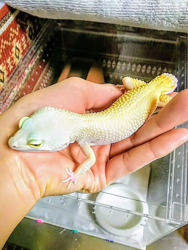 ♡お礼♡