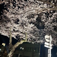 ミリア【マダムコース】