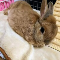 ソラ【マダムコース】
