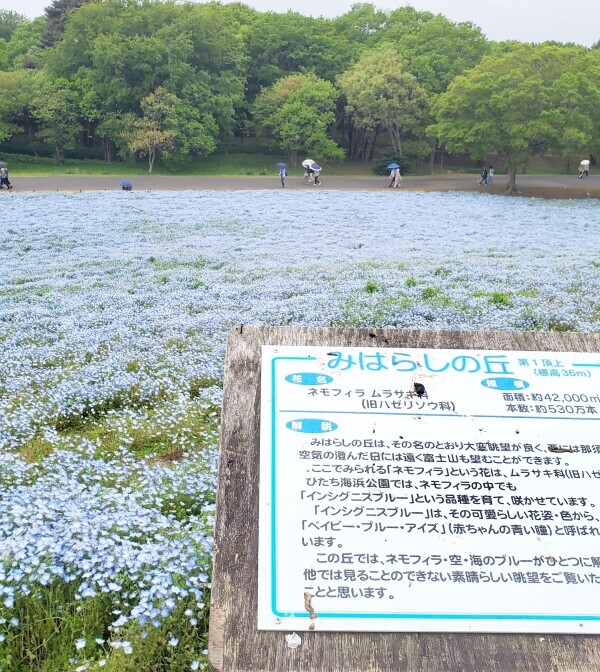 GWに行ってきました(^-^)