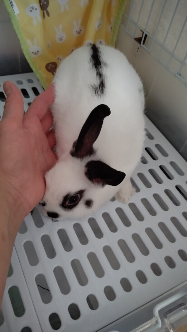 ♡お礼♡