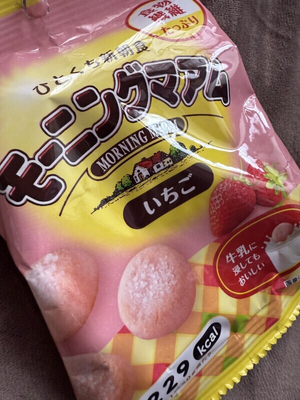 本日、出勤します