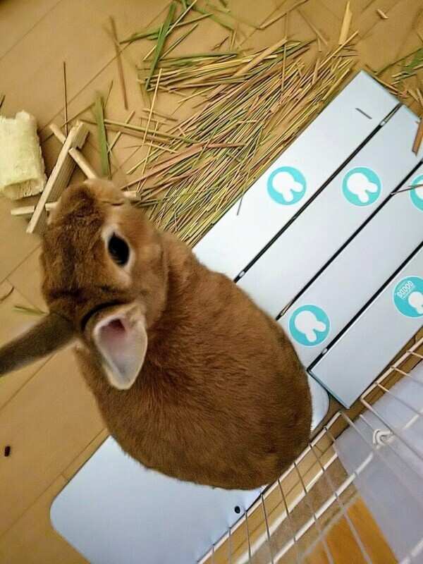 ♡お礼♡