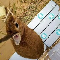 ソラ【マダムコース】