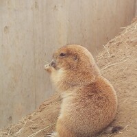 ソラ【マダムコース】