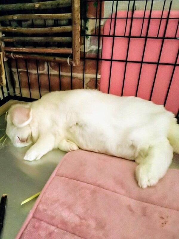 ♡お礼♡