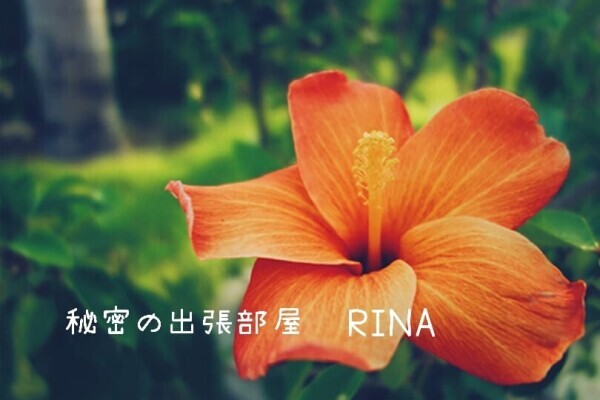 6月25日お礼です(｡˃ ᵕ ˂ )