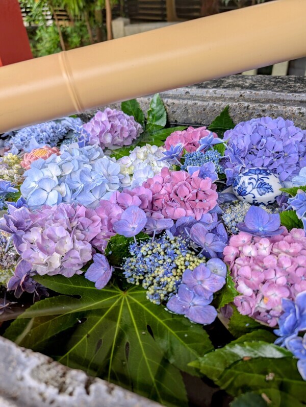 今月も♪