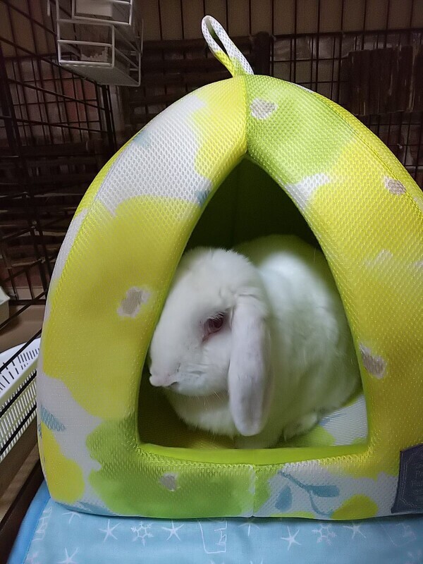♡お礼♡