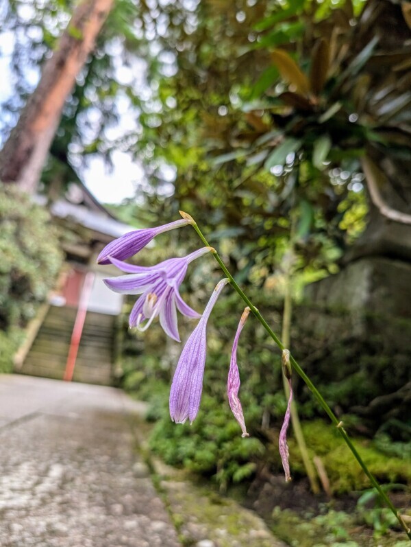 ♡お礼♡