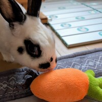 ソラ【マダムコース】