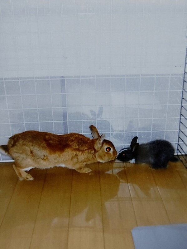 ♡お礼♡