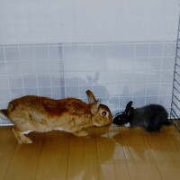 ソラ【マダムコース】