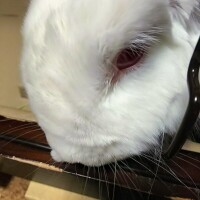 ソラ【マダムコース】