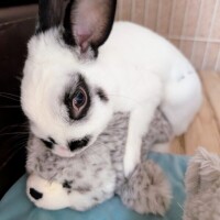 ソラ【マダムコース】