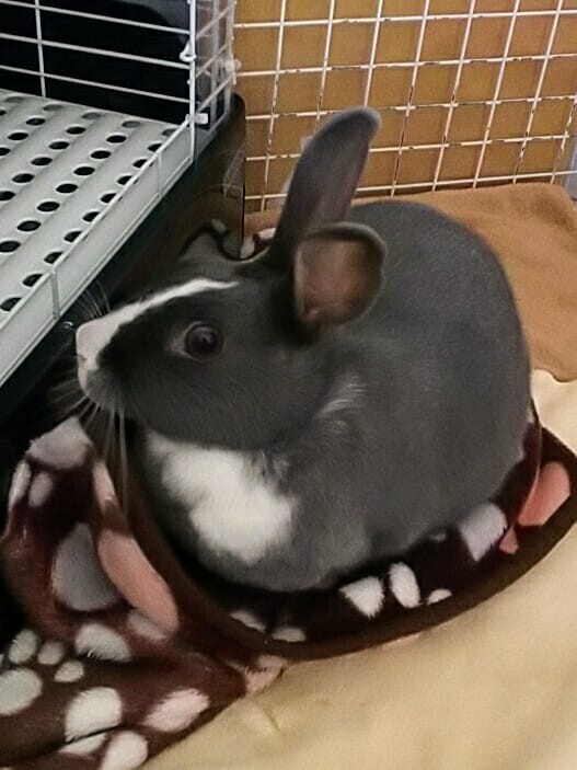 ♡お礼♡